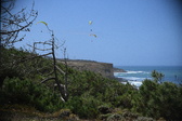 Enlarge photo 1798