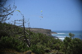 Enlarge photo 1799