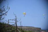 Enlarge photo 1803