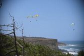 Enlarge photo 1309