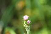 Enlarge photo 25