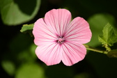 Enlarge photo 31