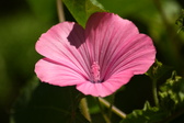 Enlarge photo 36