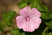 Enlarge photo 43