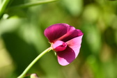 Enlarge photo 46