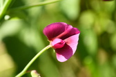 Enlarge photo 47
