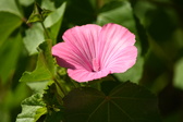 Enlarge photo 49