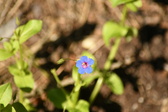 Enlarge photo 51