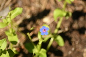 Enlarge photo 52