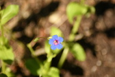 Enlarge photo 53