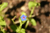 Enlarge photo 54