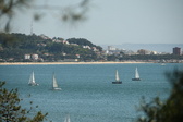 Enlarge photo 56