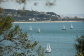Enlarge photo 57