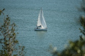 Enlarge photo 58