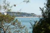 Enlarge photo 59