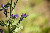 Enlarge photo 63