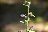 Enlarge photo 67