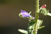 Enlarge photo 68