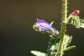 Enlarge photo 69