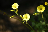 Enlarge photo 72