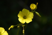 Enlarge photo 80