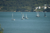 Enlarge photo 81
