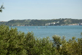 Enlarge photo 84