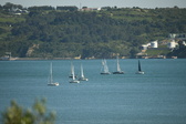 Enlarge photo 85