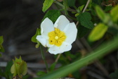 Enlarge photo 89