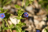 Enlarge photo 91