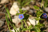 Enlarge photo 92