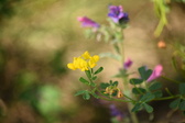 Enlarge photo 96