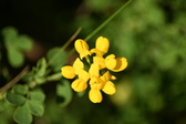 Enlarge photo 102