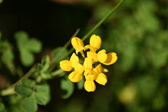 Enlarge photo 103