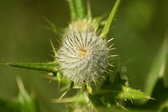 Enlarge photo 112