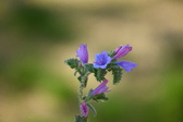Enlarge photo 123