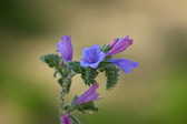 Enlarge photo 124
