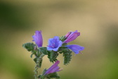 Enlarge photo 125