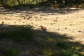 Enlarge photo 131