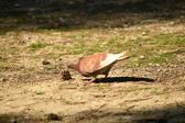 Enlarge photo 134