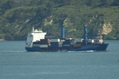 Enlarge photo 145