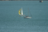 Enlarge photo 149