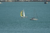 Enlarge photo 150