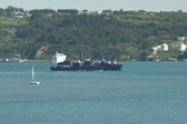 Enlarge photo 156