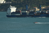 Enlarge photo 164