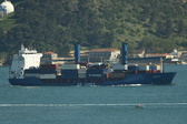 Enlarge photo 165