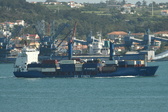 Enlarge photo 176