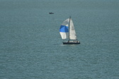 Enlarge photo 180