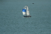 Enlarge photo 182