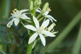 Enlarge photo 184